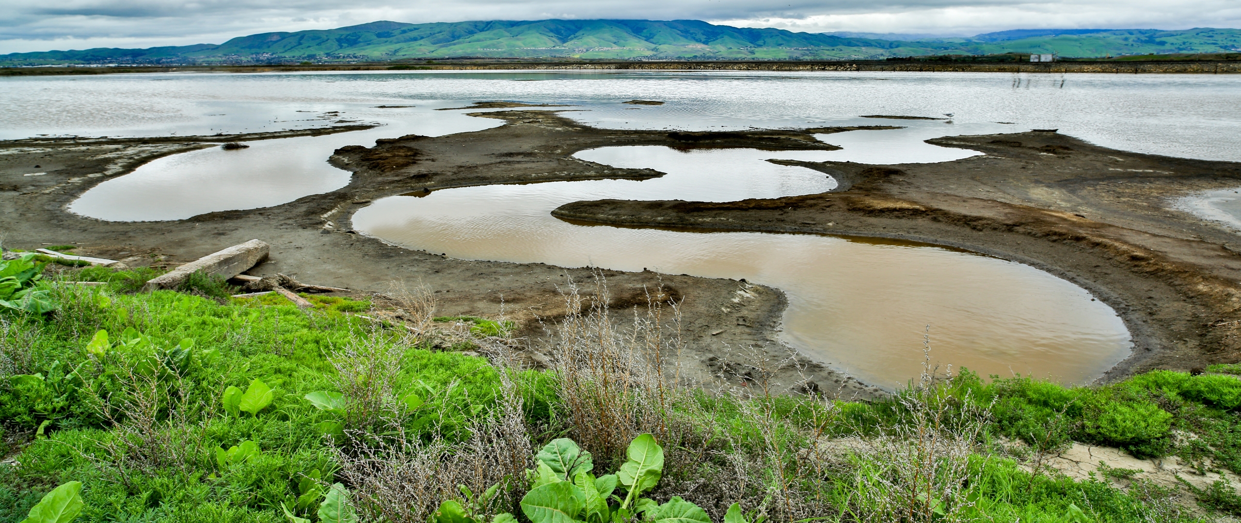 San Francisco Waterfront Resilience Program, image size:2560x1080